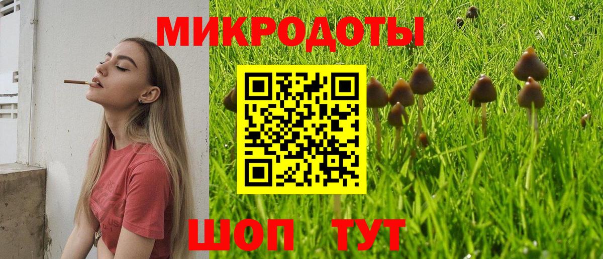 как найти   Вход с VPN  Сибай  Псилоцибиновые грибы прущие грибы 